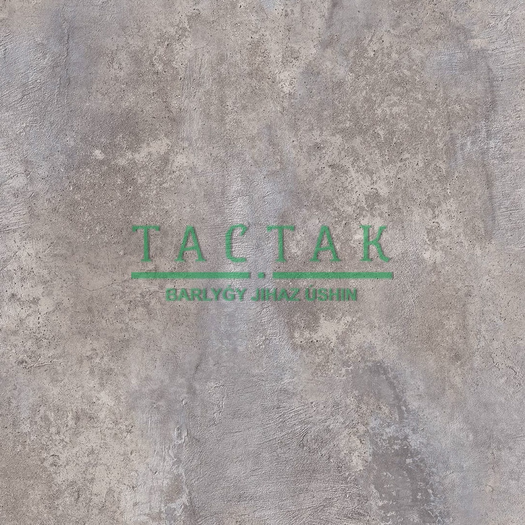 Столешница 3050*600*38мм Гранж С501 CR