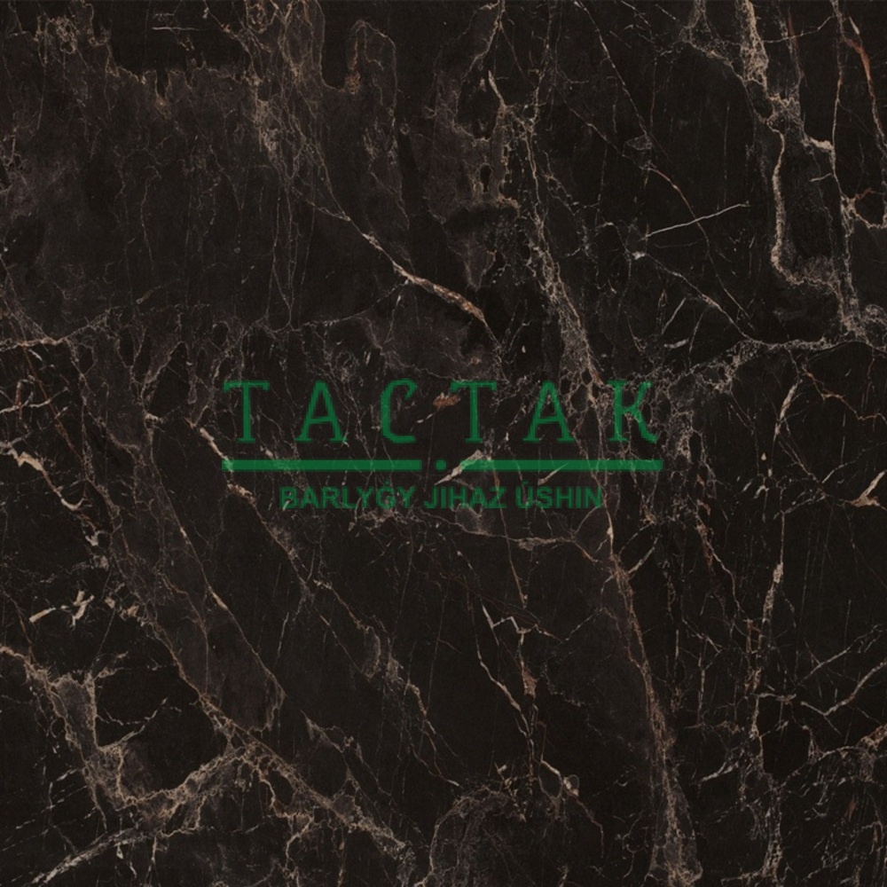 Столешница 3050*600*38мм Мрамор Марквина Черный С508 CR