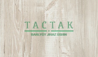 сосна касцина