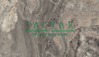 Чиполлино серый