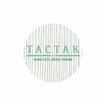 2599154_zaglushka-samokl-seryy-polo