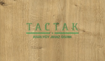 дуб гамильтон